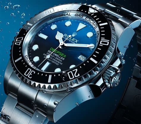 rolex divers watch|rolex divers watch price.